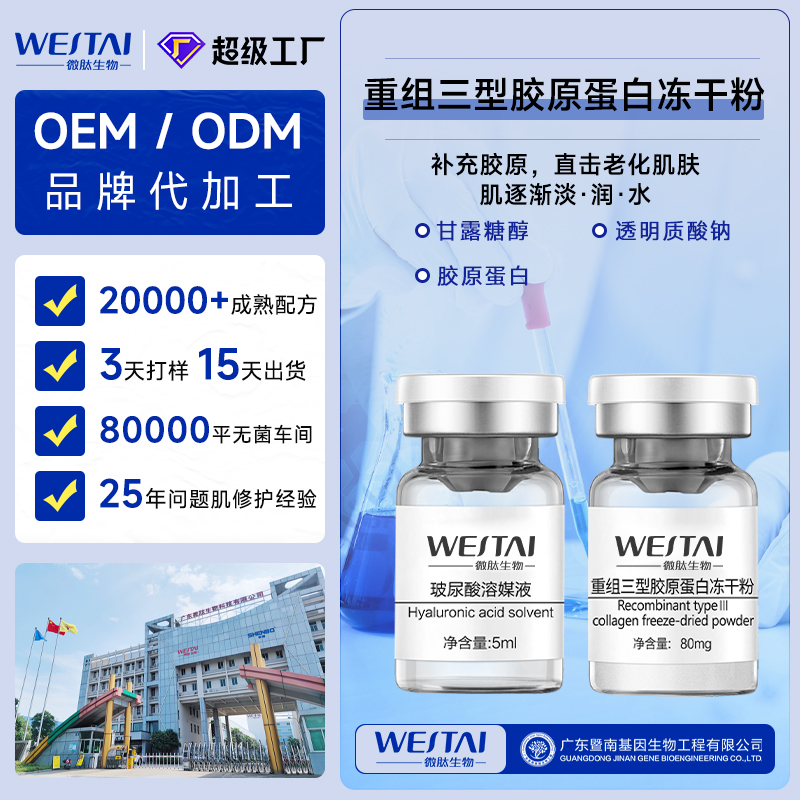 重组Ⅲ型胶原蛋白冻干粉广东/广州源头冻干粉代加工厂家