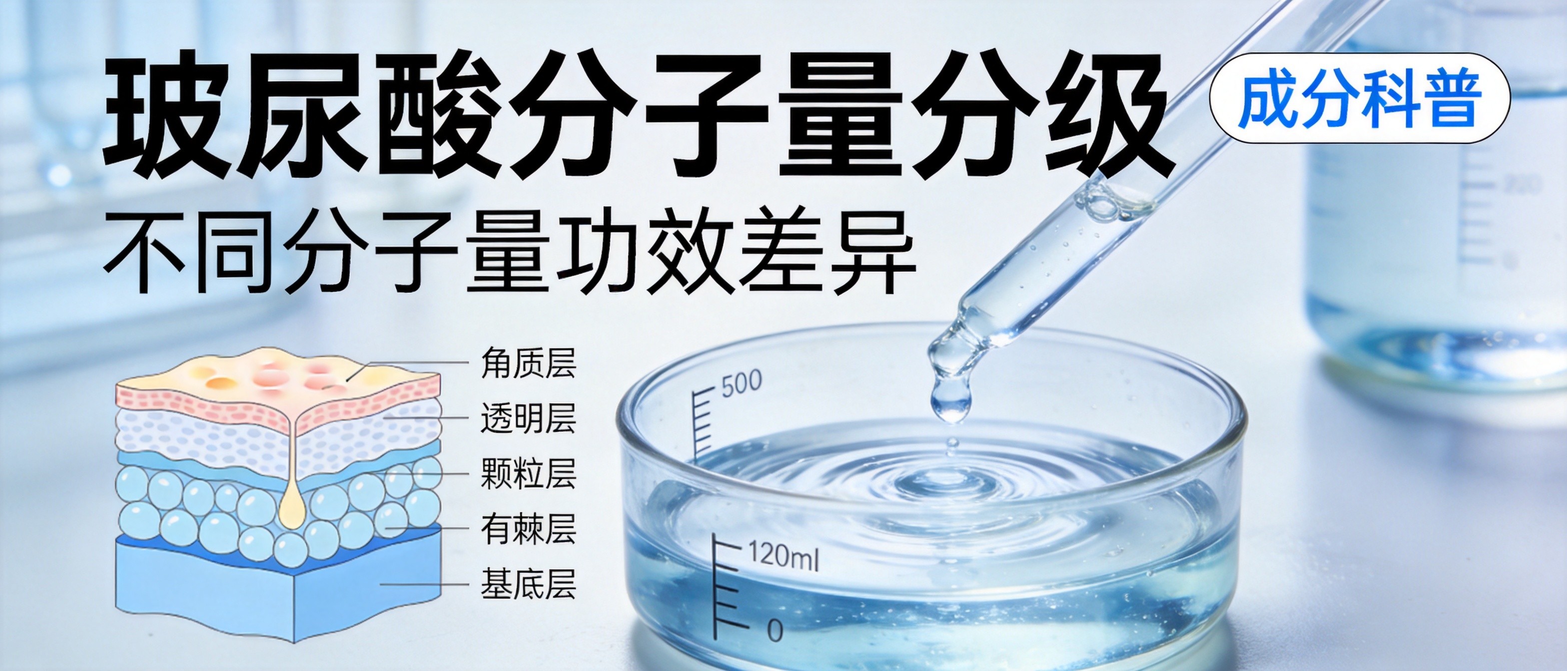 玻尿酸分子量分级与功效差异：从注射到面膜全场景应用实操拆解