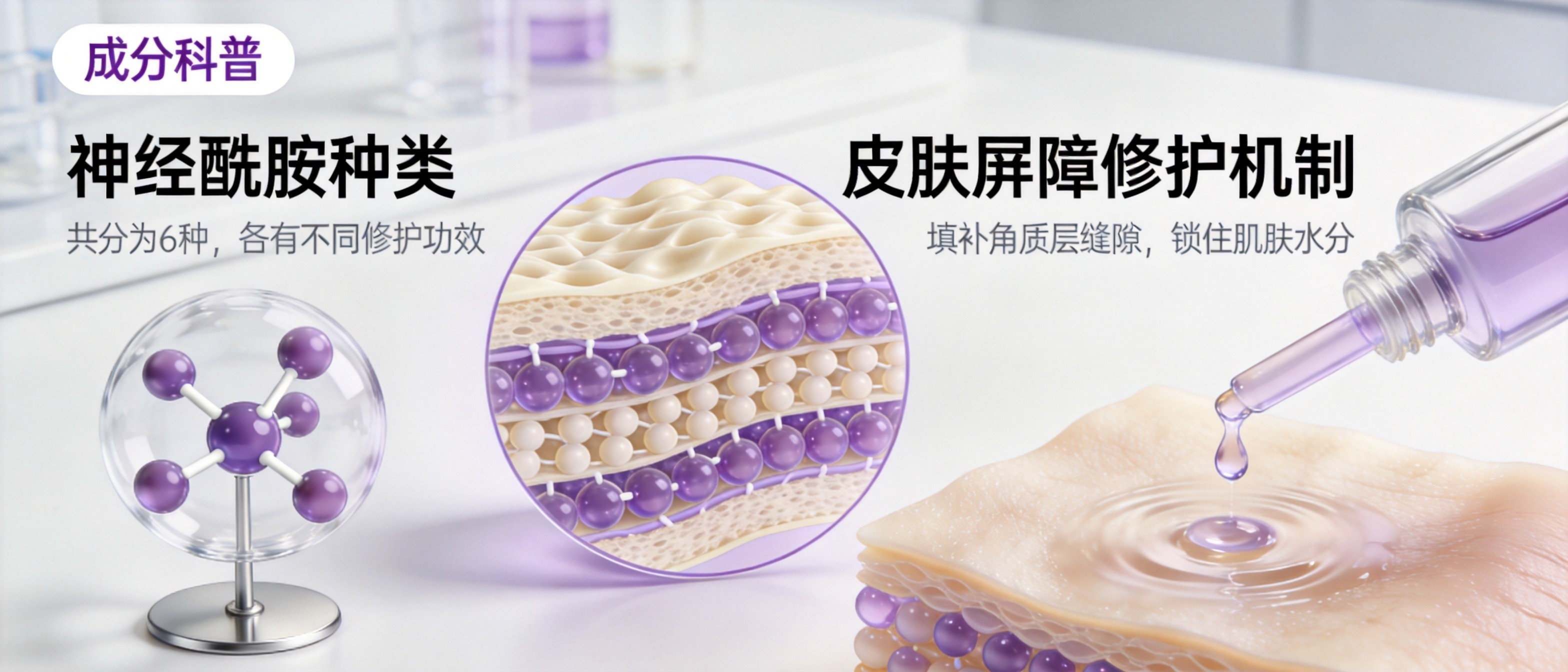 神经酰胺种类与皮肤屏障修护：护肤品/医用敷料配方怎么搭？2026版实操指南